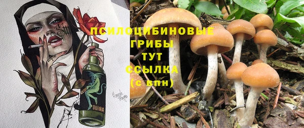 гидропоника Ессентукская