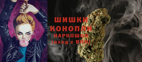 хмурый Новосибирск