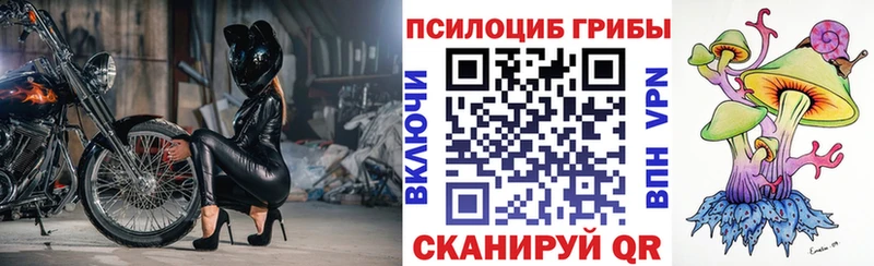 kraken сайт  Оренбург  Галлюциногенные грибы прущие грибы 
