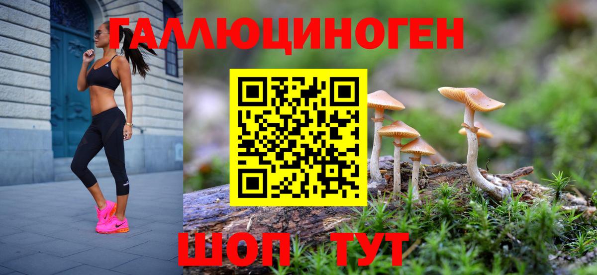 Галлюциногенные грибы мицелий Россия