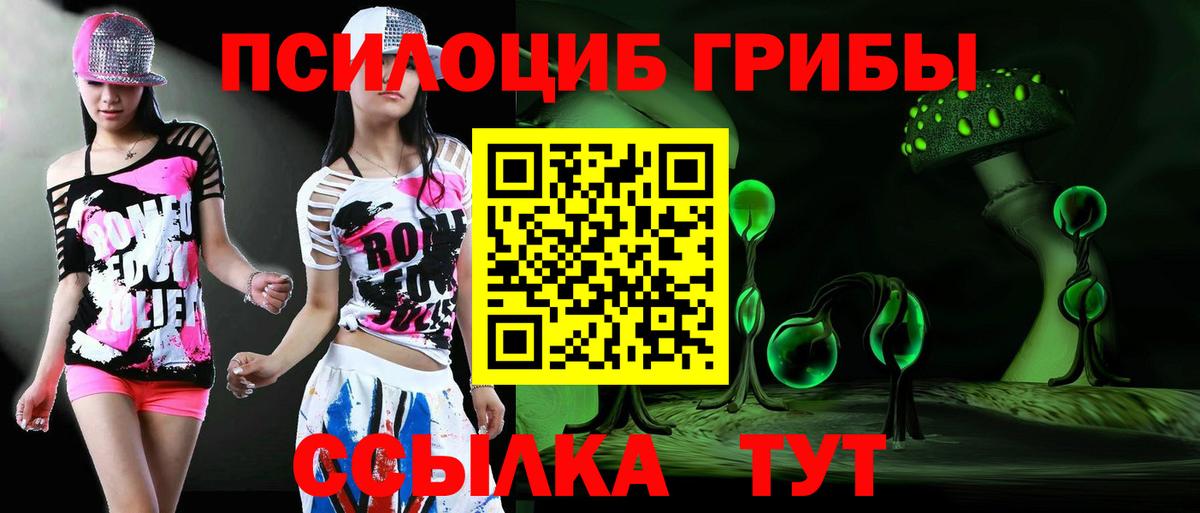 Галлюциногенные грибы мухоморы  Галлюциногенные грибы Psilocybe  Россия 