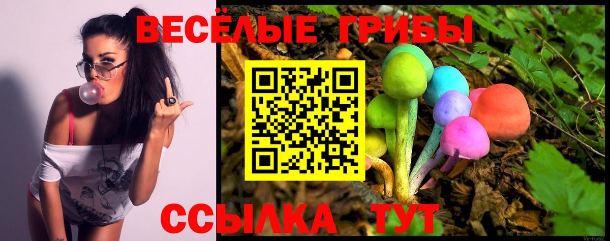 Россия  Галлюциногенные грибы Cubensis  Вход с VPN 
